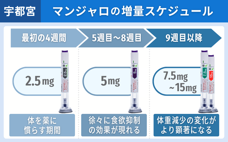 マンジャロ　増量スケジュール　宇都宮