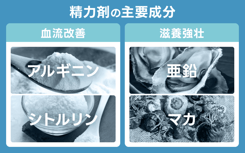 精力剤　成分